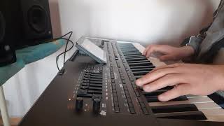 Jolene  Miley Cyrus  Korg Pa 4x Cover [upl. by Eintrok108]