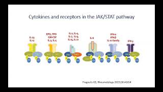 DOIM GR 101024 Therapeutic Perspectives on Immune Mediated Inflammatory Diseases [upl. by Nylyoj]