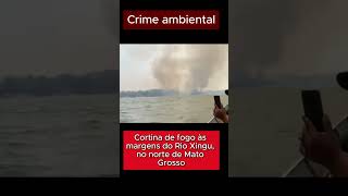 Xingu em chamas I Mato Grosso [upl. by Kendell]