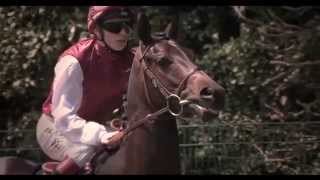 Prix de Diane at Chantilly Racecourse [upl. by Rimisac687]