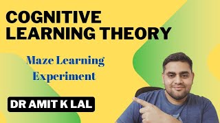 Cognitive Learning Theory  Maze Learning Experiment [upl. by Odnomor507]