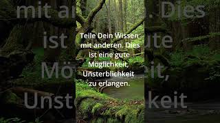 Zitate zum Nachdenken 59 ☘ [upl. by Pamella]