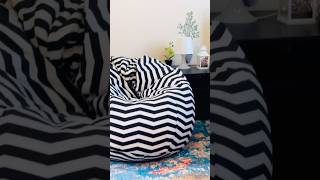 Unboxing New Bean Bag homedecor beanbag chillspace [upl. by Ethban]