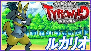 Pokémon Type Wild  Lucario Hard Mode [upl. by Ralyat]