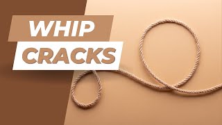 Whip Sound Effect  Crisp amp Powerful Whipping Noises [upl. by Ahsinaj227]