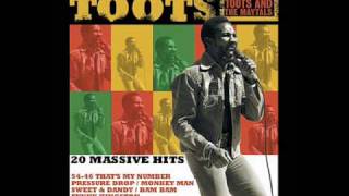 Toots And The Maytals Time Tough [upl. by Rhea988]