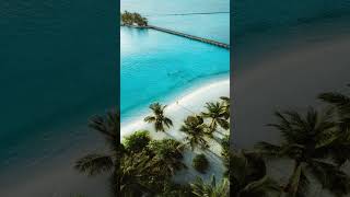 Dhawa Ihuru Maldives Package  Luxury Resort in Maldives  Sole Mono Pole [upl. by Bender]