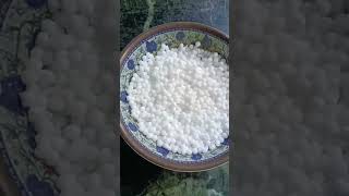 Sabudana kheer recipe 🍚🍚 [upl. by Nnhoj688]