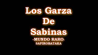 MIX  LOS GARZA DE SABINAS chicanas VOL 1 [upl. by Ananna]