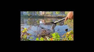 Fishing in Zaandam [upl. by Porush]