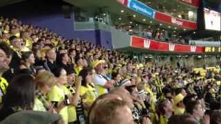 quotJust Cant Get Enoughquot  Yellow Fever For Wellington Phoenix 2012 [upl. by Nylyaj]