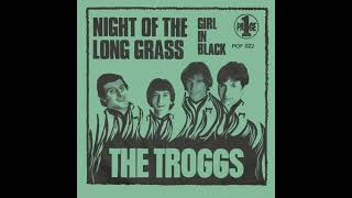 The Troggs  Night of the Long Grass  1967 STEREO in [upl. by Eelanna]