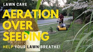 Lawn Aeration and Over Seeding ► Stinger Dual 2450 Aerator [upl. by Warfore]