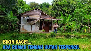 BARUDAK SUKABUMI TEA MENGUNJUNGI RUMAH DI TENGAH HUTAN DI KELILINGI PEGUNUNGAN [upl. by Lachman]