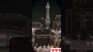 Islamic whatsapp status quran beautiful islamicquotes [upl. by Siroval]