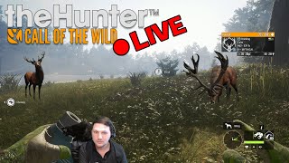 LIVE Hunt amp Hang w wayofthepixel  theHunter Call of the Wild thehunter cotw gaming letsplay [upl. by Yerbua]