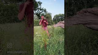 Meadowsweet making me all spiritual 🌾 forage foraging meadowsweet healing mindfulness [upl. by Wilkinson]