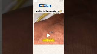 Is machhar ka 🤯😂 Instagram Funny Comment Sonu Yadav shorts shortsviral [upl. by Cindelyn]