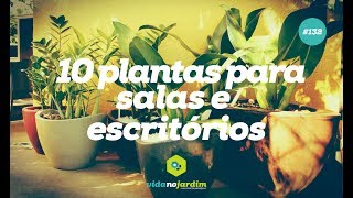 10 plantas para salas e escritórios [upl. by Curry]