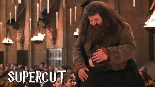 Harry Potter  Best of Hagrid [upl. by Cacka]