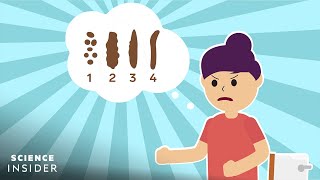 How To Take The Best Poop According To Science [upl. by Eterg]