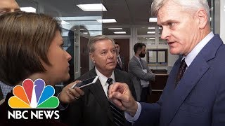 Bill Cassidy Lindsey Graham Respond To Kimmels Liar Comment Over Health Bill  NBC News [upl. by Aerdna158]