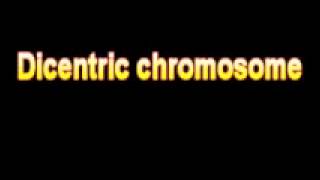 What Is The Definition Of Dicentric chromosome  Medical Dictionary Free Online [upl. by Parish]