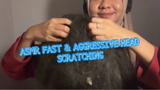 no talking ASMR Fast amp Aggressive Scalp Scratching  Deep Relaxation for Sleep [upl. by Lecirg]