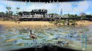 Hesperornis tame Ark survival evolved PS4 [upl. by Giffer8]