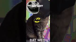 Bat Cat OG vid by SpeedArtr8q [upl. by Calvert643]