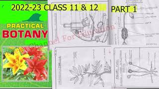 BOTANY RECORD BOOK 2022 23  PART 1  PLUS 1 amp PLUS 2 [upl. by Linet]