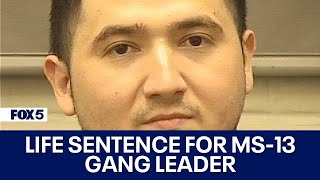 MS13 gang leader sentenced to life in prison for ordering random killings in Virginia [upl. by Herzen821]