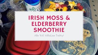 Irish Moss and Elderberry SUPER Smoothie [upl. by Annauqal]