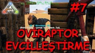 Oviraptor Evcilleştirdik  ARK Survival Evolved S3B07 PVE Türkçe [upl. by Harhay]