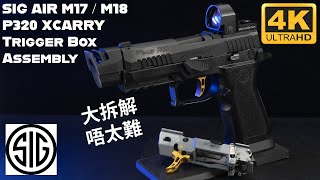 不認真改裝｜SIG SAUER P320 X CARRY Green Gas Airsoft Pistol  Black by SIG AIR amp VFC｜高清版｜好耐之前個條片真係實在太差 [upl. by Ormand]