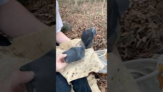 Spalling Dacite Obsidian flintknapping obsidian rockhounding obsidiana asmr stoneage stoneart [upl. by Ahsap]