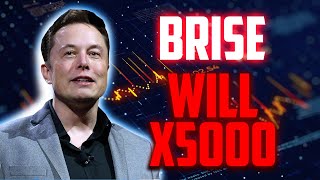 BRISE PRICE WILL X5000 HERES WHEN  BITGERT PRICE PREDICTION 2024 amp 2025 [upl. by Feetal]