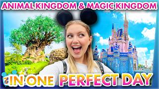 Magic Kingdom and Animal Kingdom in ONE PERFECT DAY  Park Hopping in Disney World [upl. by Philo]