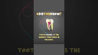 some interesting facts about teeth [upl. by Schlicher]