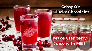 Can Cranberry Juice with ME cranberryjuice cranberries homesteading juice diyideas farm [upl. by Notsehc366]