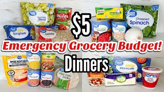 5 DINNERS  FIVE Quick Cheap Meal Ideas Made EASY  25 Grocery Budget  Julia Pacheco [upl. by Gereron]