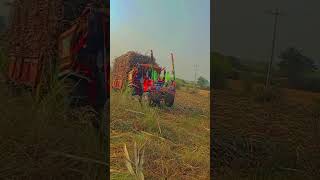 Mahindra Arjun 605 Di lodada tractor pulling  किरकोळनादआपणकरतचनाहीवो कमीवयातलागलेलानाद [upl. by Sheng]