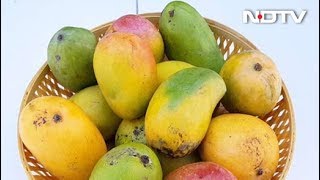 Popular Varieties of Mangoes In The Market An Easy Guide [upl. by Theurer]