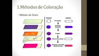 Introdução a Microbiologia ClínicaAULA 01 [upl. by Joelynn]