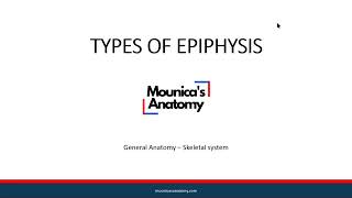 General Anatomy  Skeletal Systems  Types of Epiphysis 33 [upl. by Cedar168]