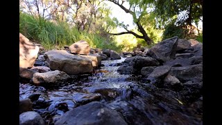 Soothing Nature Escape at Golden Gate Highlands National Park [upl. by Adalheid699]