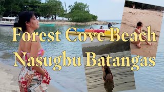 Forest Cove Beach House  Nasugbu Batangas  ChazQuellar Vlogs [upl. by Shuler387]