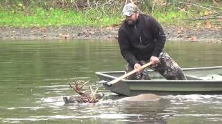 Veterinarian and his Son rescue a 10 Point Buck [upl. by Halyak]