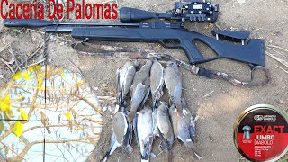 Caza De Palomas Con Rifle De Aire PCP [upl. by Hirsch]