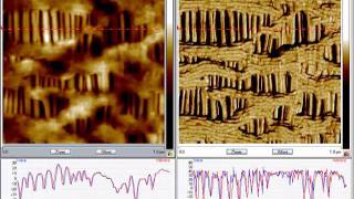 CelgardR 1um 23Hz Perpendicular Mesh Orientation [upl. by Kcered]